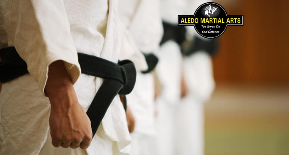 Aledo Martial Arts Facebook ad