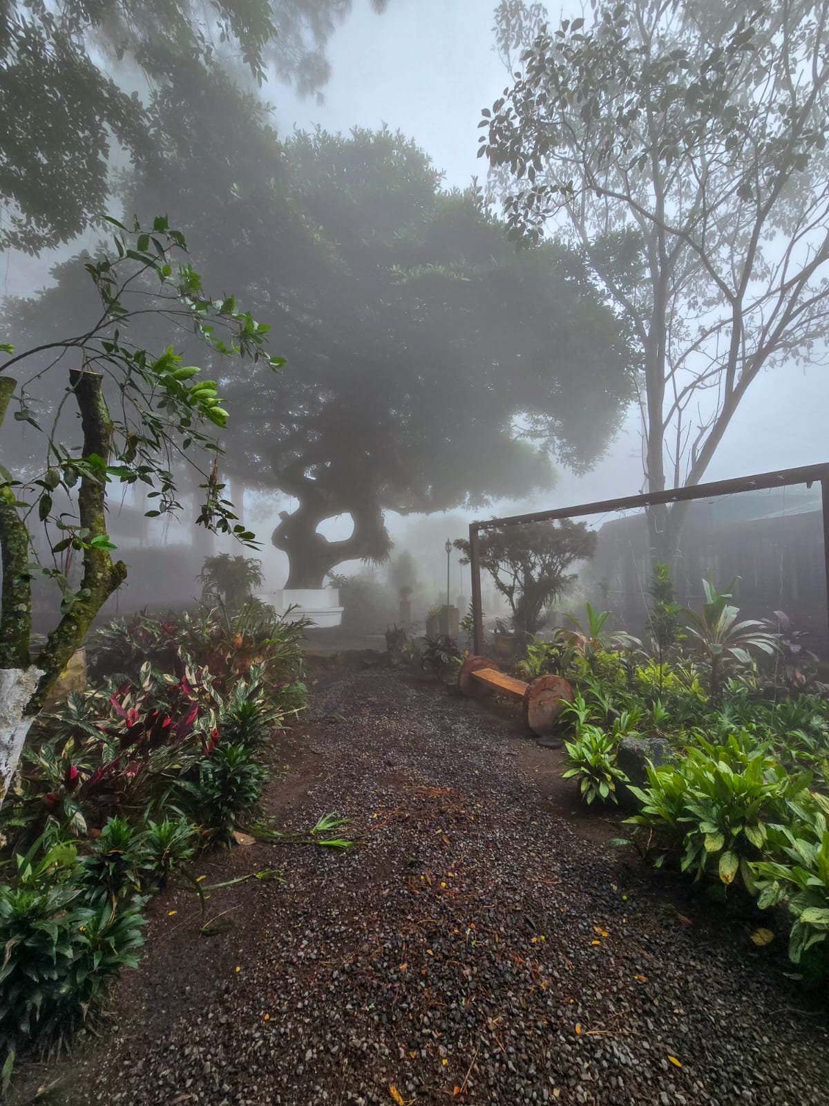 Restaurante Tonos El Salvador Facebook ad: ¡Tu próximo lugar favorito en El Volcán llegó!