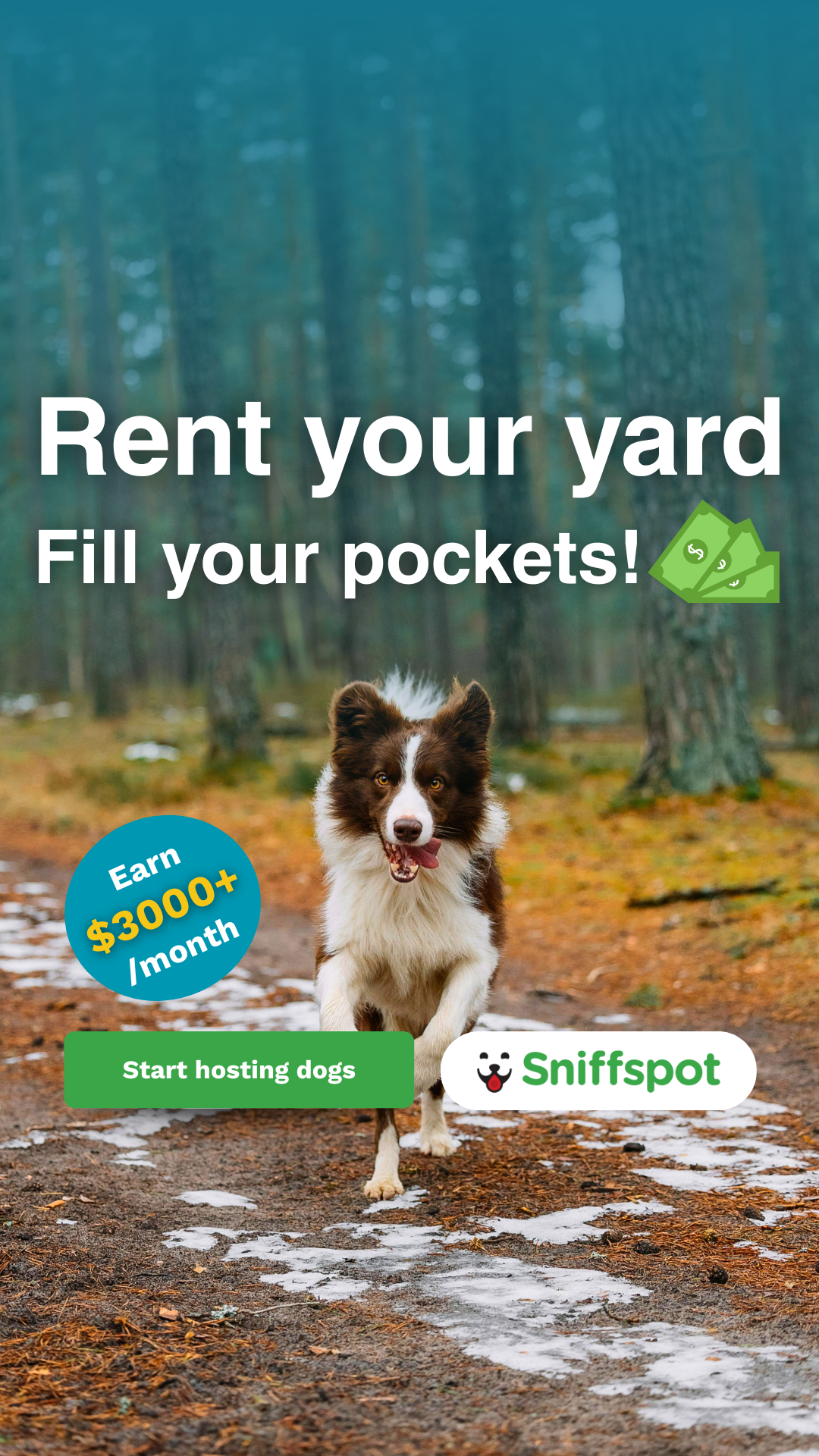 Sniffspot Facebook ad