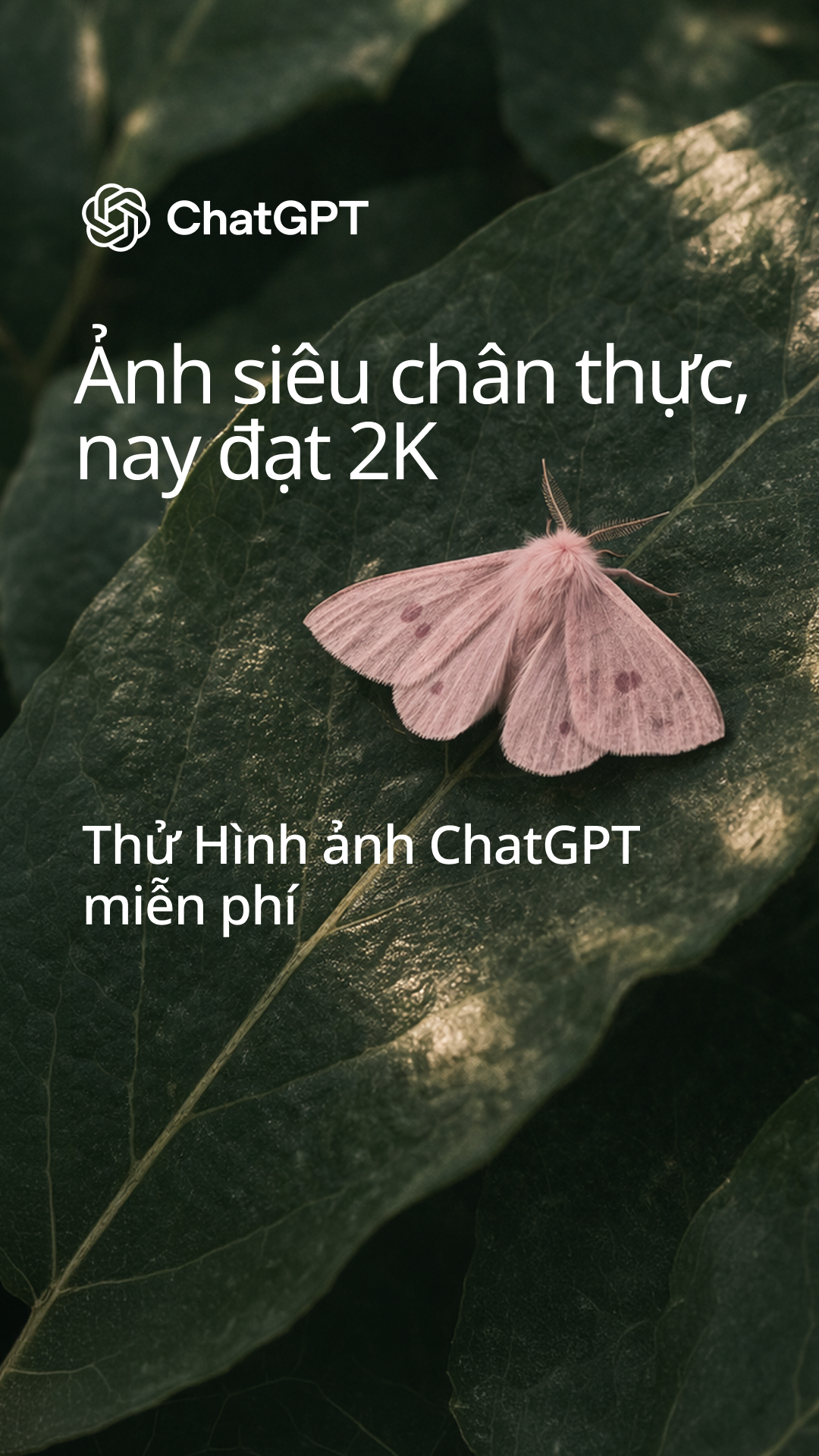 ChatGPT Facebook ad from Jun 5, 2026