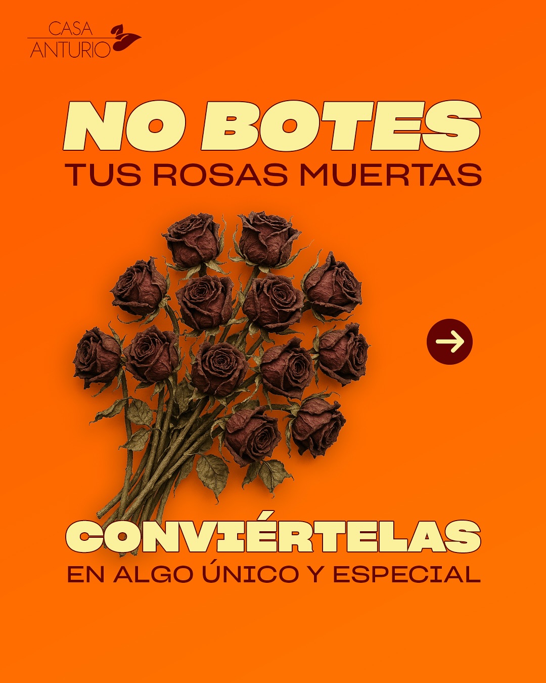 Casa Anturio Facebook ad: Tus rosas aún tienen mucho que dar…