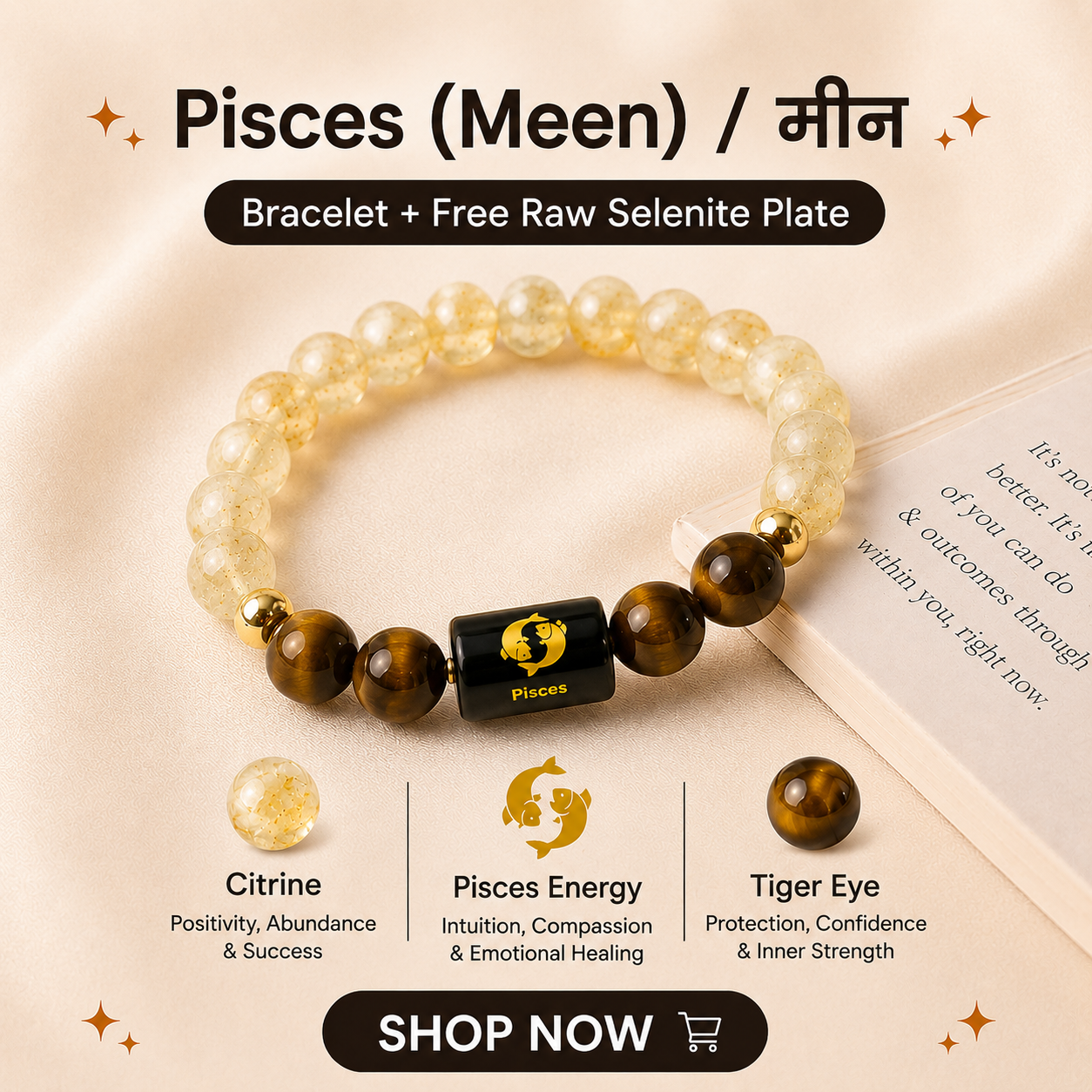 Vedic Astro Facebook ad