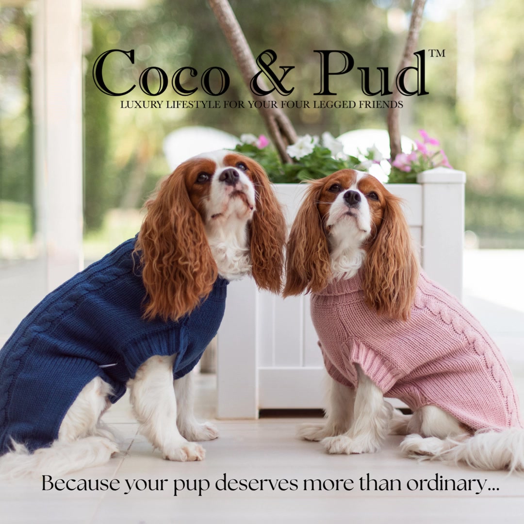 Coco and Pud Facebook ad: Luxury New Arrivals