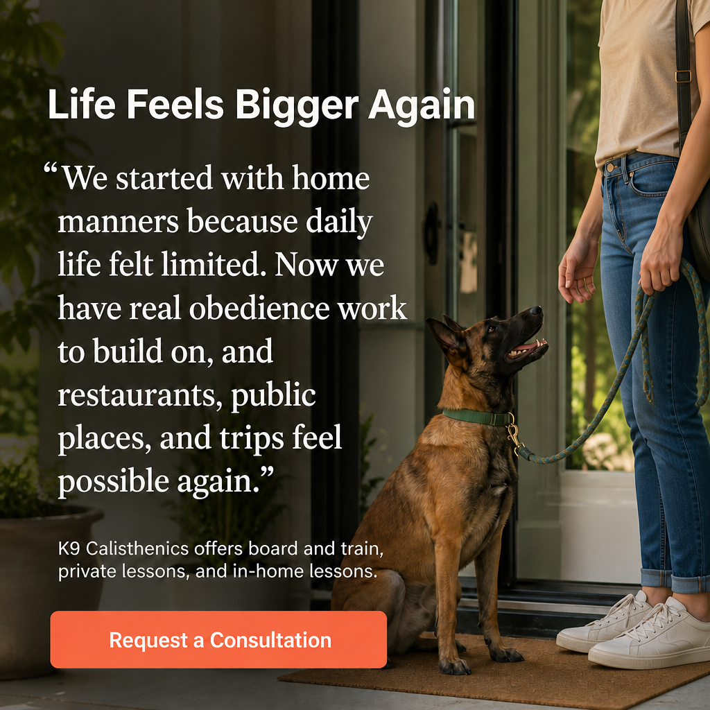 Kopa.ai - Your Local Favorites Facebook ad