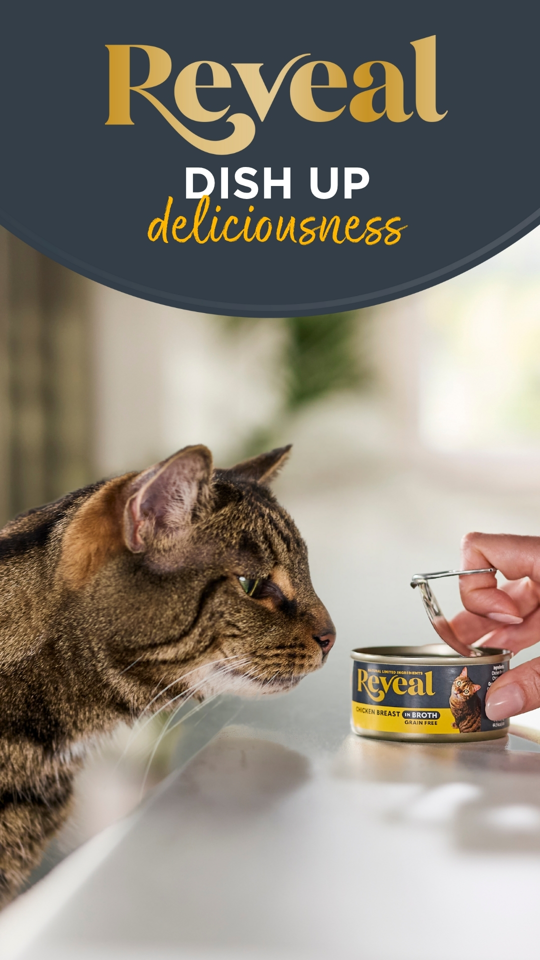 Reveal Pet food Facebook ad