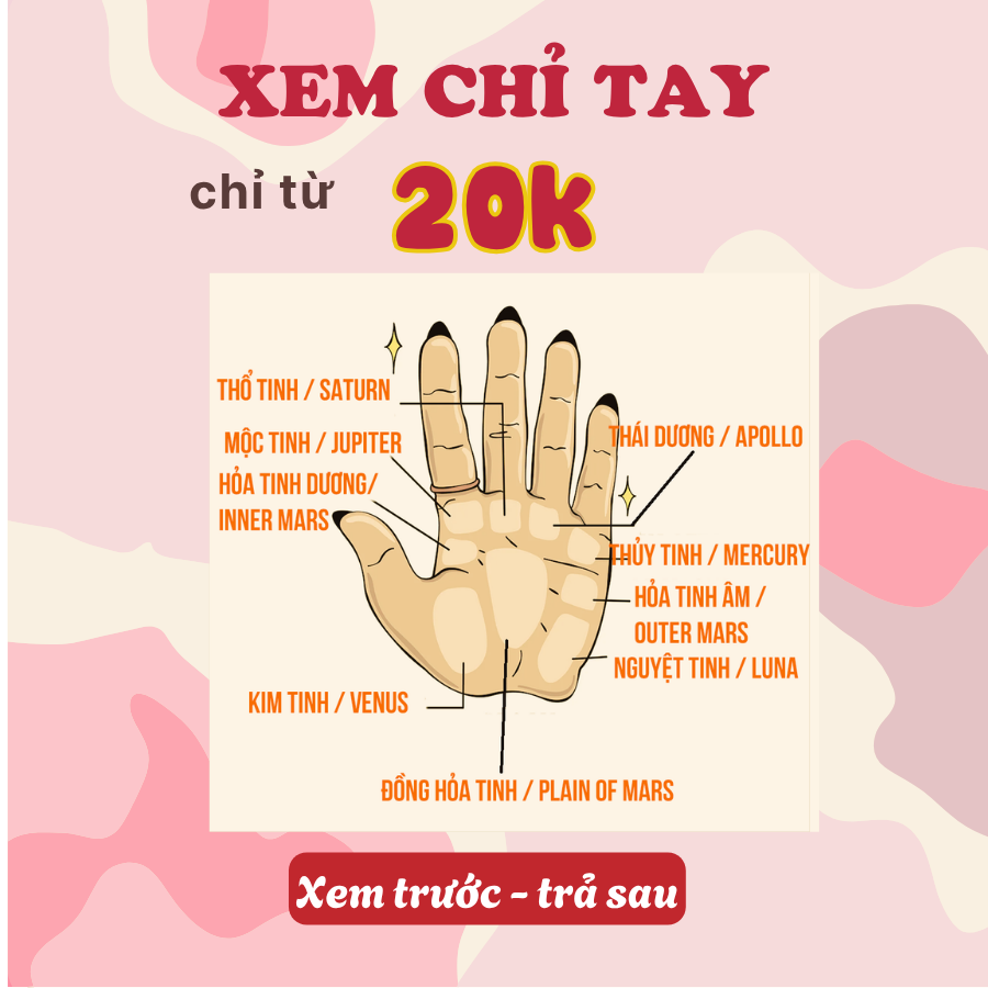 Chúi Tarot - Tử Vi, Chỉ Tay, Duyên Số Facebook ad