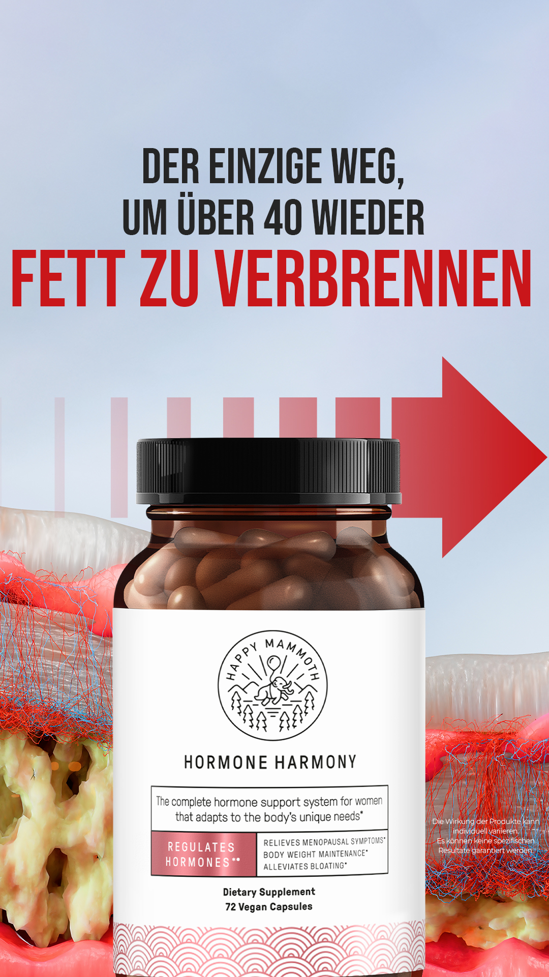 Happy Mammoth EU Facebook ad