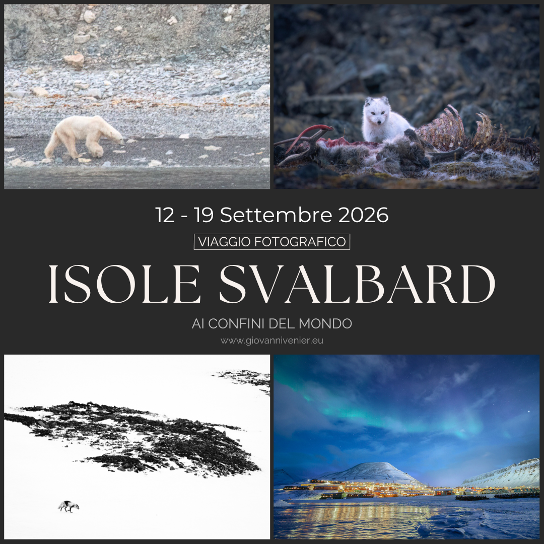 Nature sans frontières - Giovanni Venier Facebook ad: Le prime aurore ti aspettano