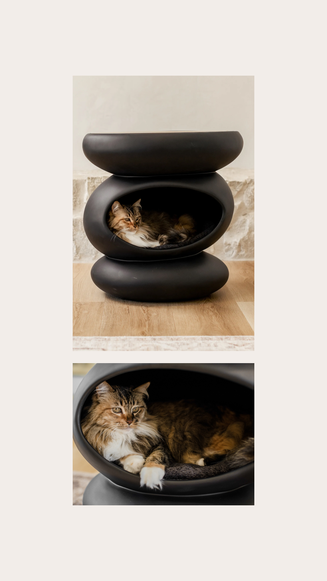 Mau Pets Facebook ad from Jul 2, 2026