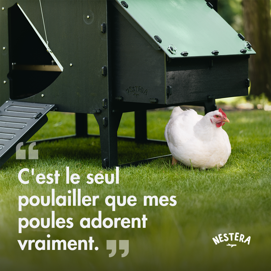 Nestera France Facebook ad: Aimés par tous