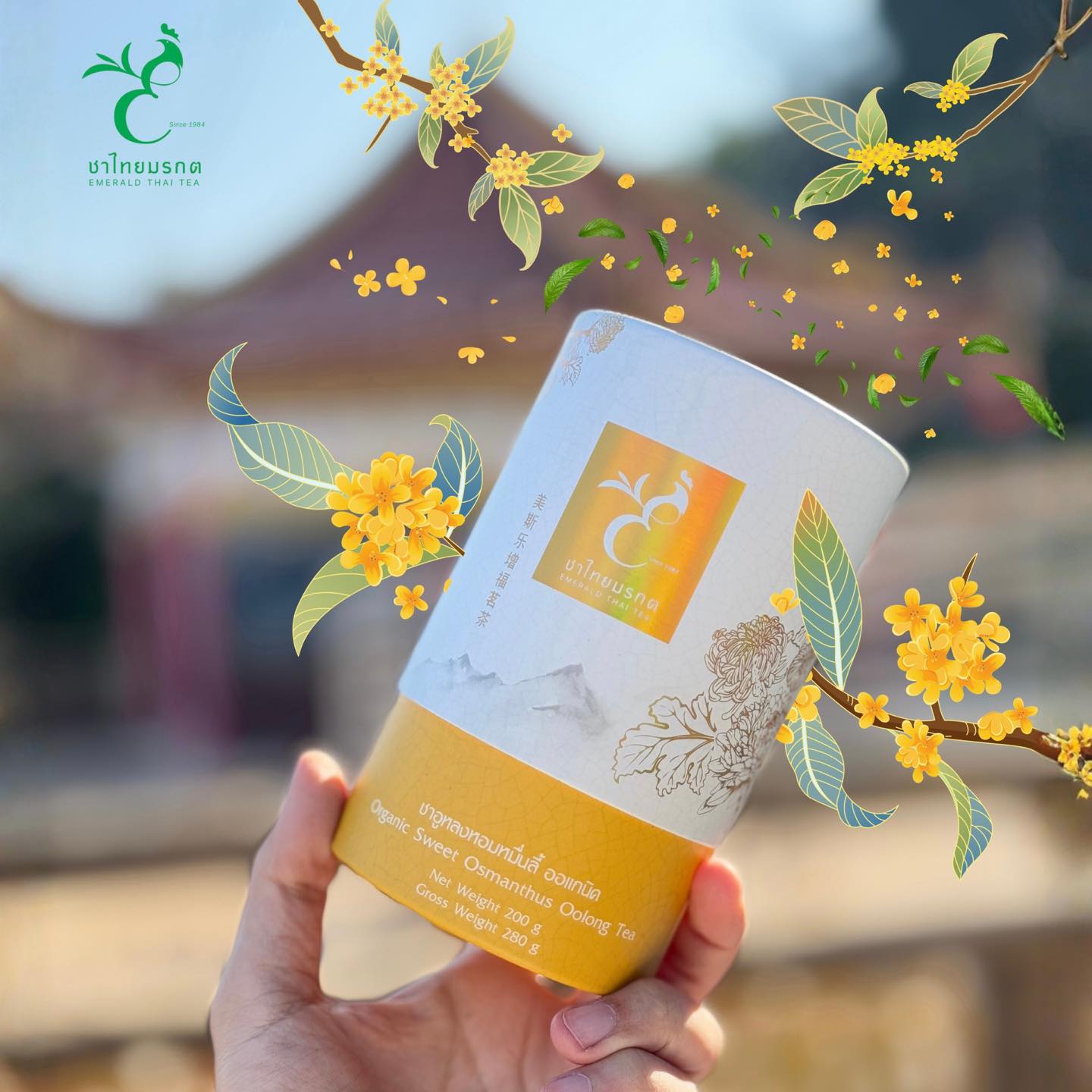 Emerald Thai Tea ชาไทยมรกต: จำหน่ายชาอู่หลงดอยแม่สลอง ใบชาโชคจำเริญ Facebook ad: NEW LOT 2026 | ชาอูหลงหอมหมื่นลี้ ออร์แกนิค