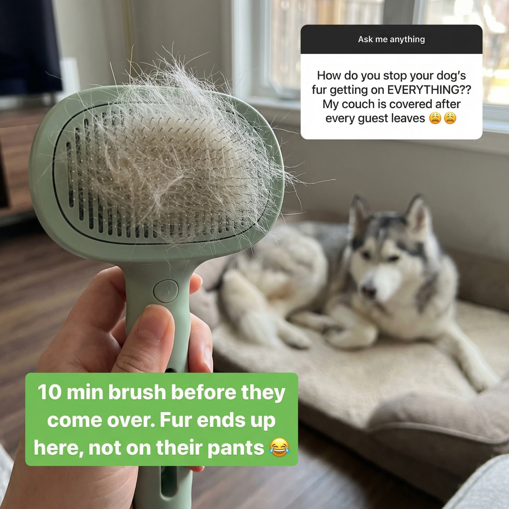 Doggido Facebook ad