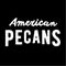 American Pecans - India