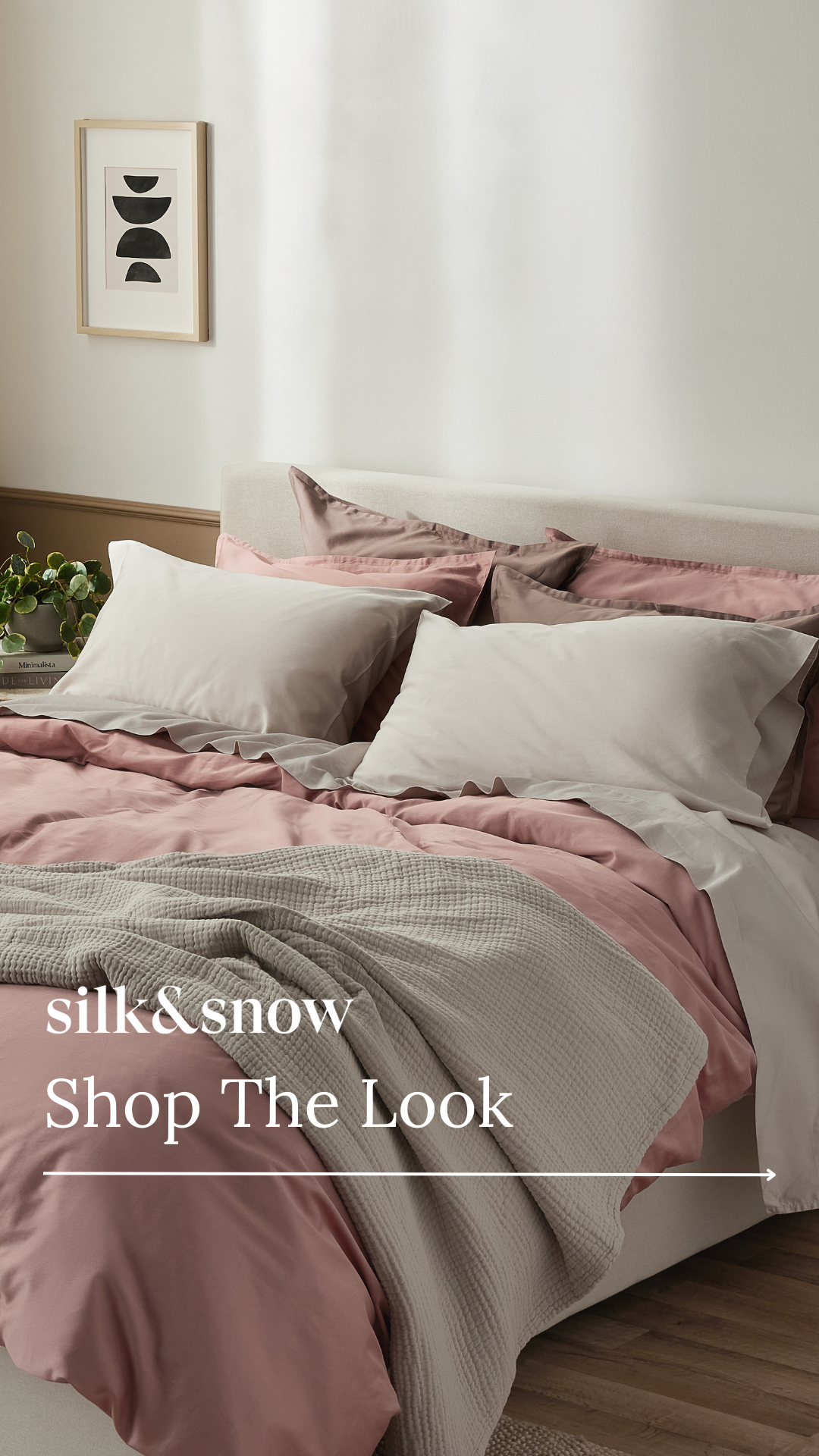 Silk and Snow Facebook ad
