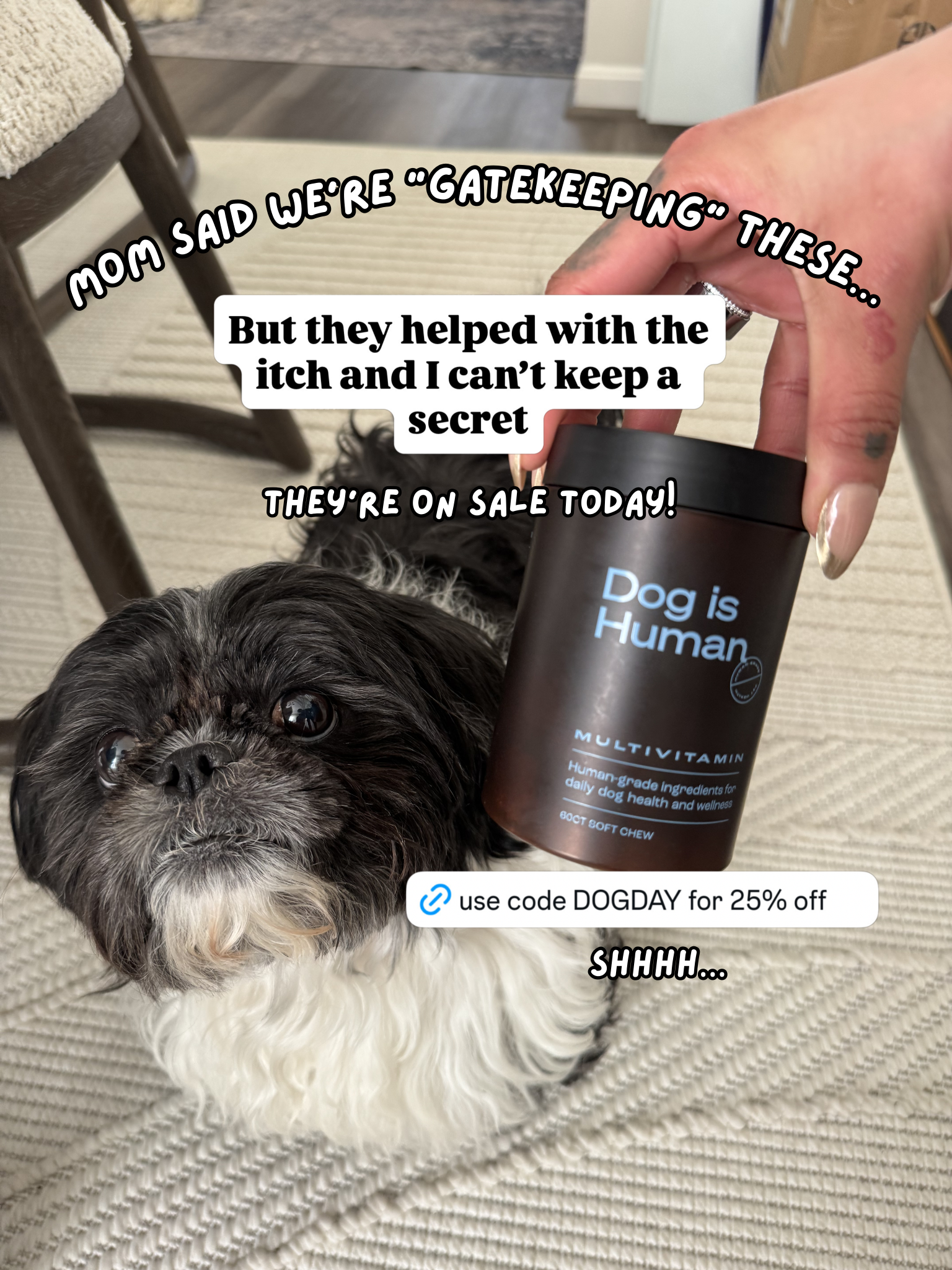 Dog is Human Facebook ad