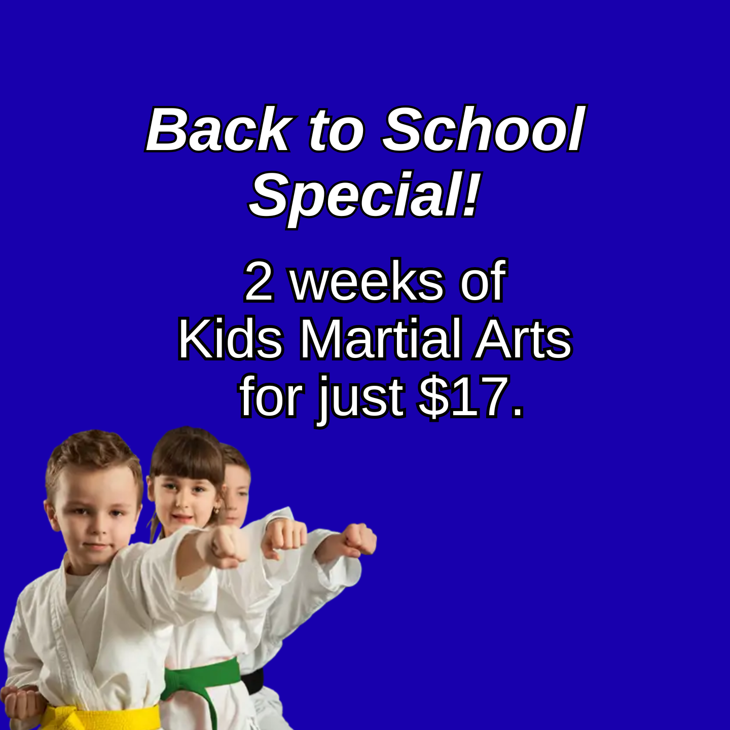 Vision Martial Arts Academy Facebook ad