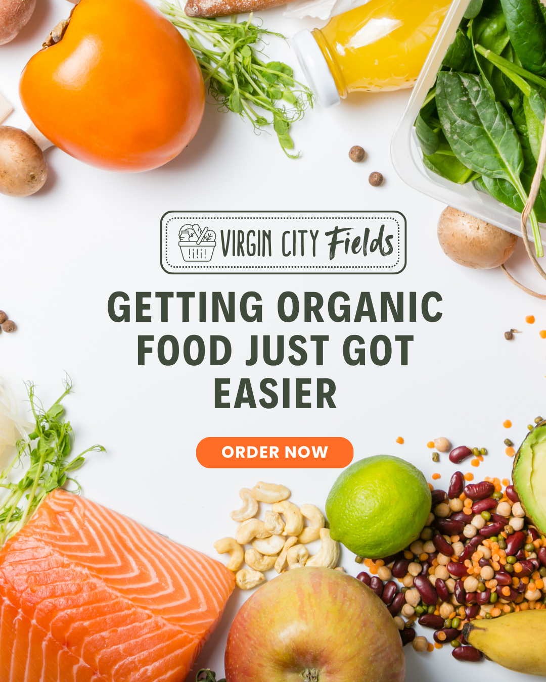 Virgin City Fields Facebook ad from Apr 17, 2026
