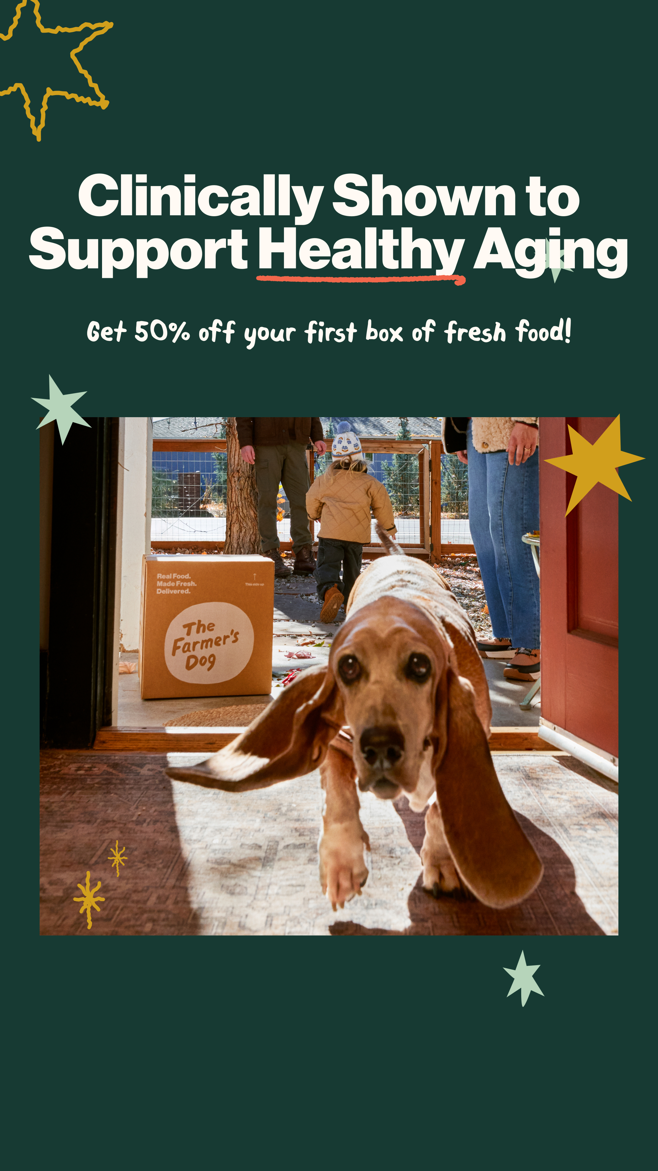 The Farmer's Dog Facebook ad