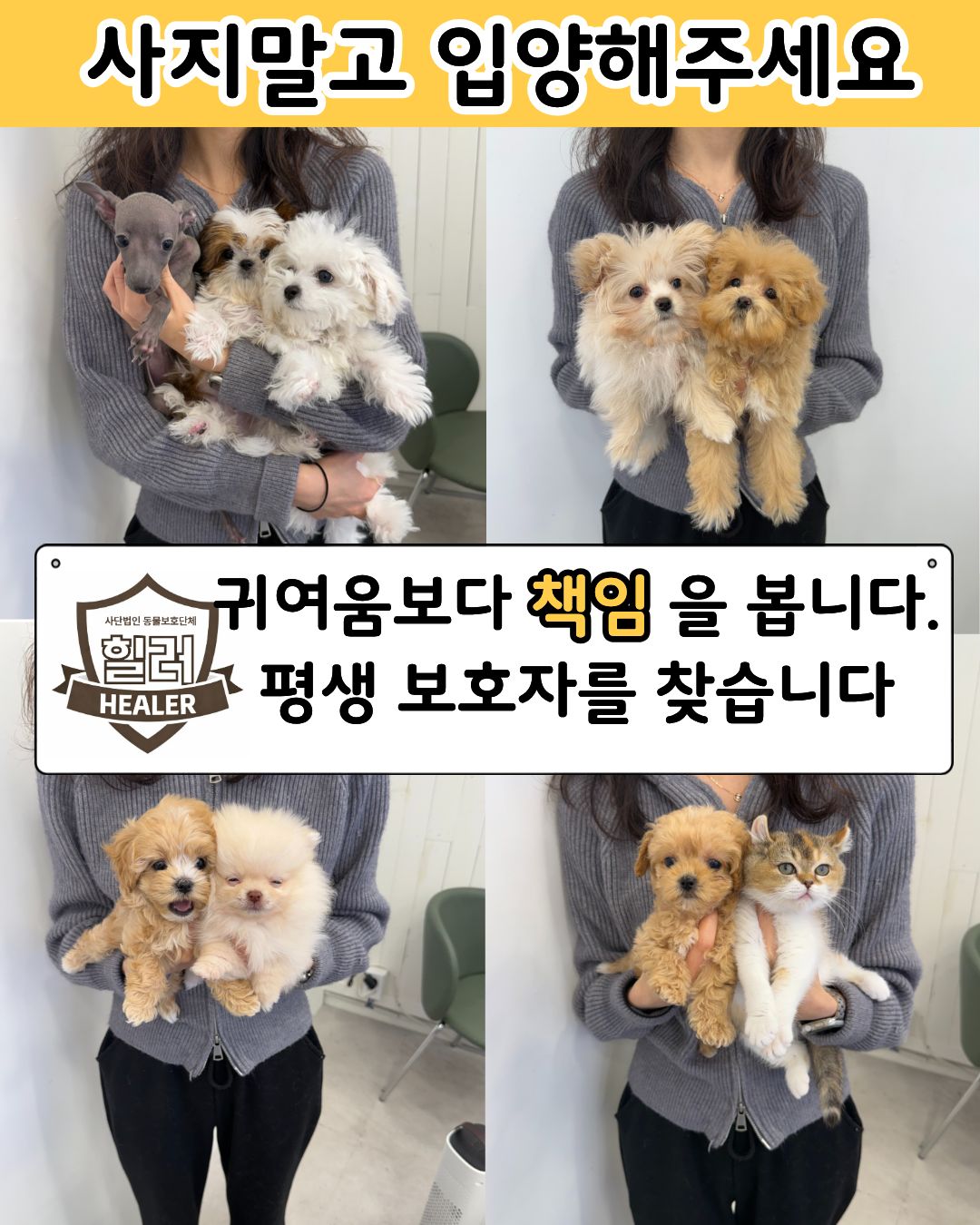 아이러브독 본점 Facebook ad: 힐러 보호소는 안락사 없는 국내 최고의 시설을 보유하고…