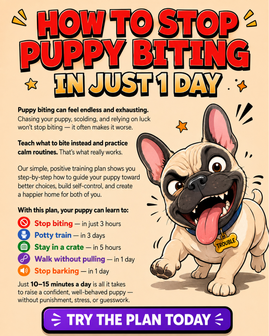 Ben Your Puppy Trainer Facebook ad