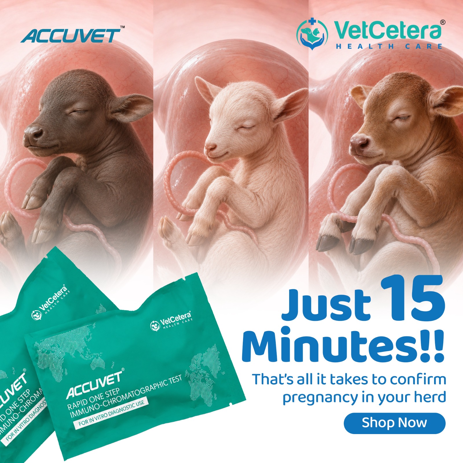 VetCetera Facebook ad: Don't Wait | Shop Now!