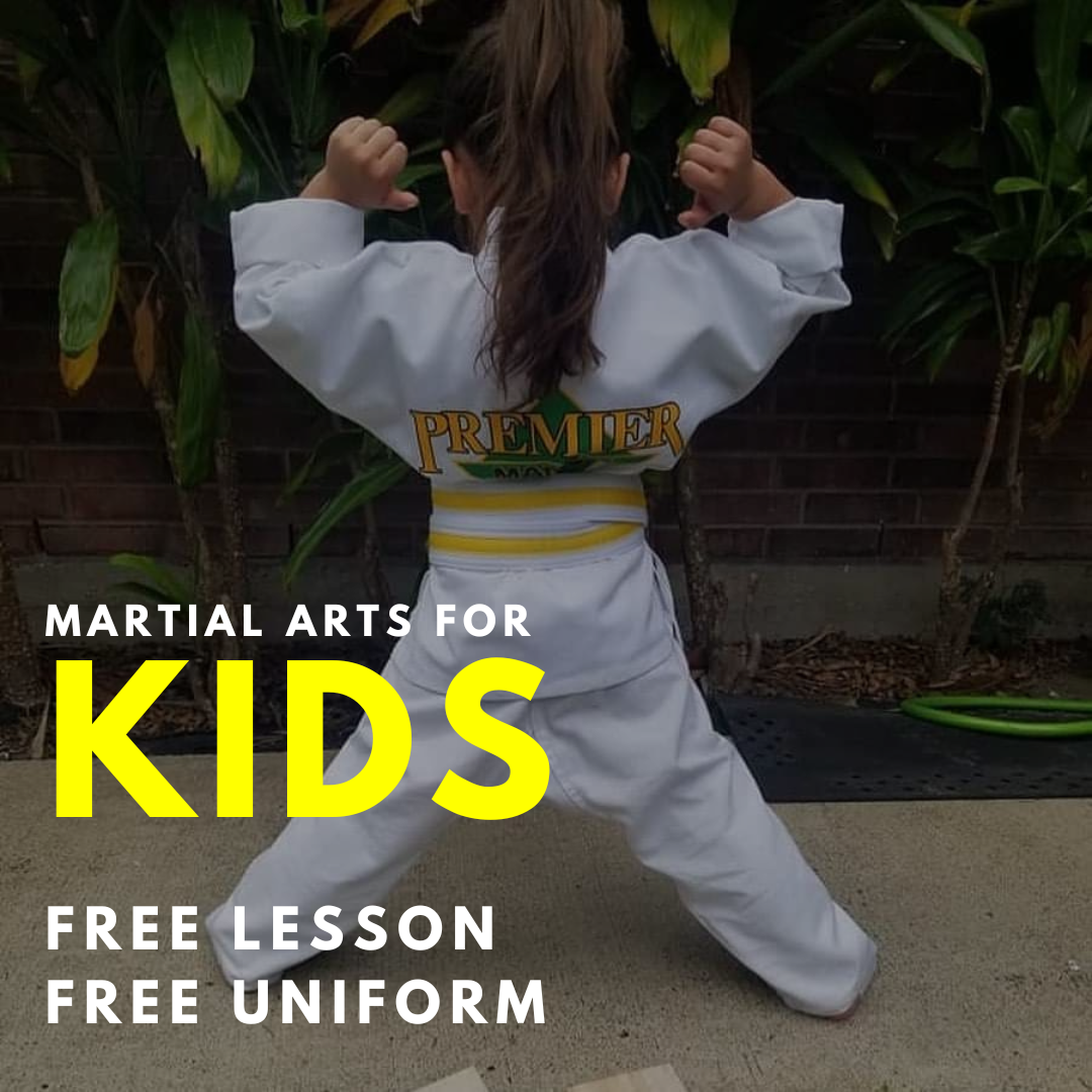 Premier Martial Arts Facebook ad