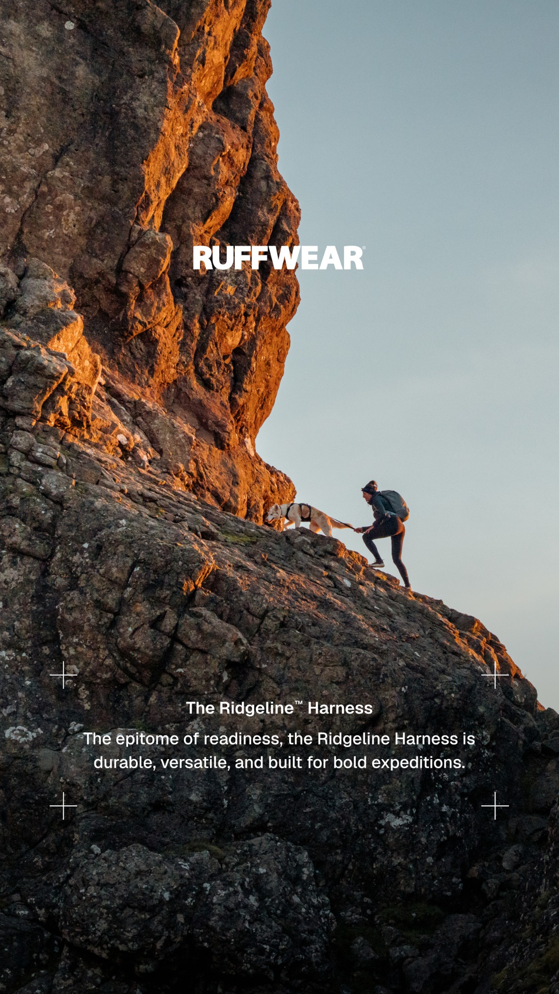 Ruffwear Facebook ad