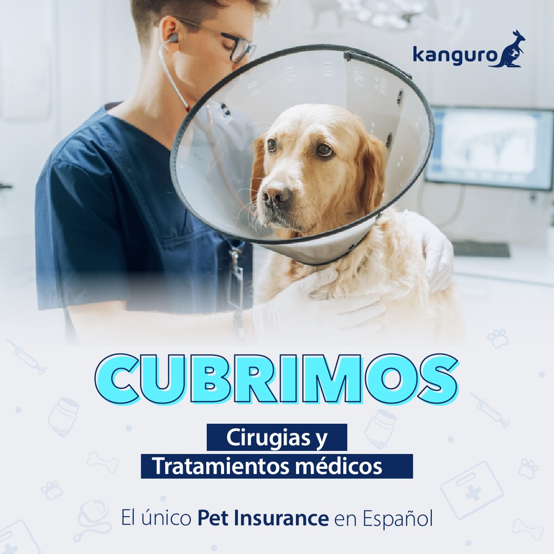 Kanguro Insurance Facebook ad: ¡No dejes su salud al azar! Cotiza su seguro ya
