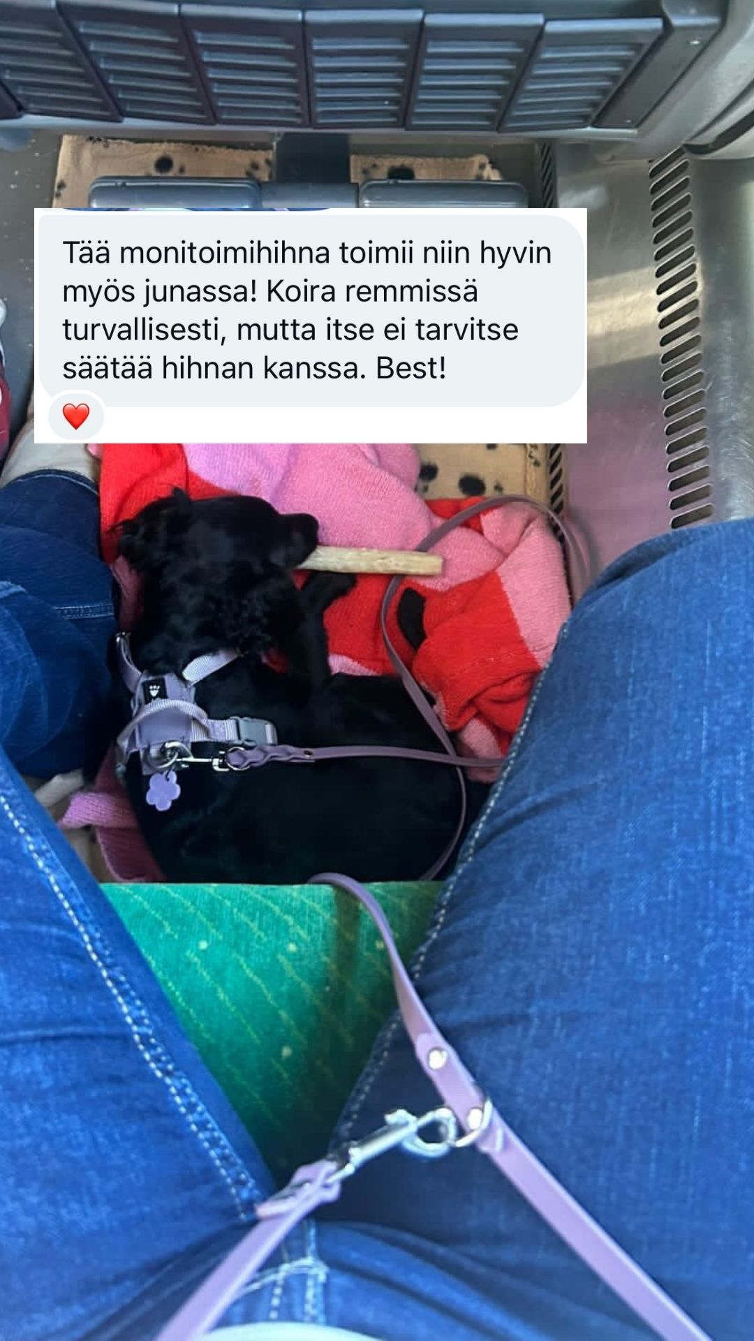 Tyylivoitto Facebook ad