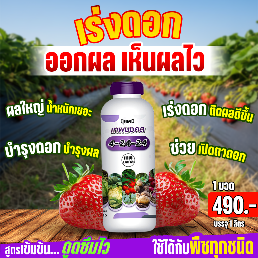 จำหน่ายปุ๋ยน้ำ สูตรพรีเมี่ยม ตราเทพมงคล Facebook ad