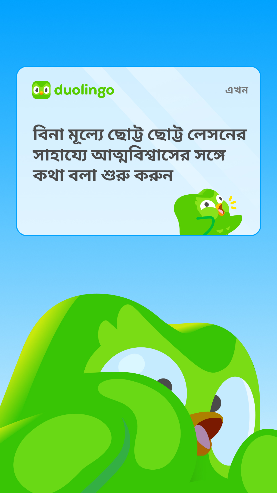 Duolingo Facebook ad