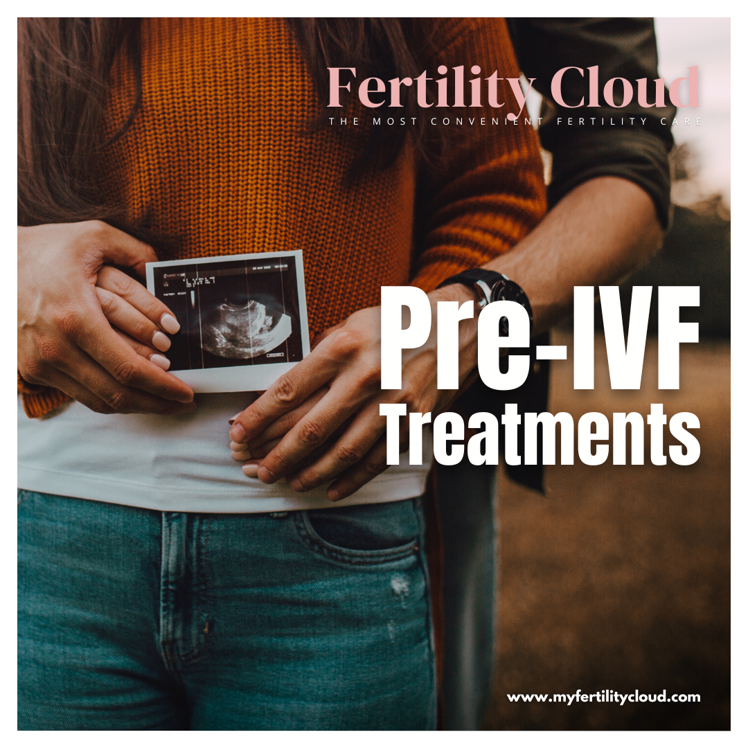 Fertility Cloud Facebook ad from Nov 22, 2024