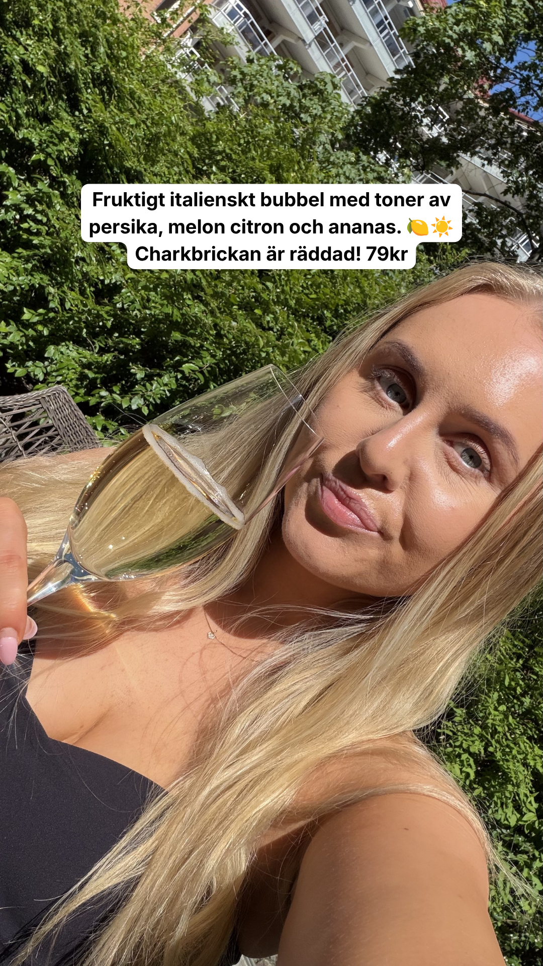Vin & Väninnor  Facebook ad