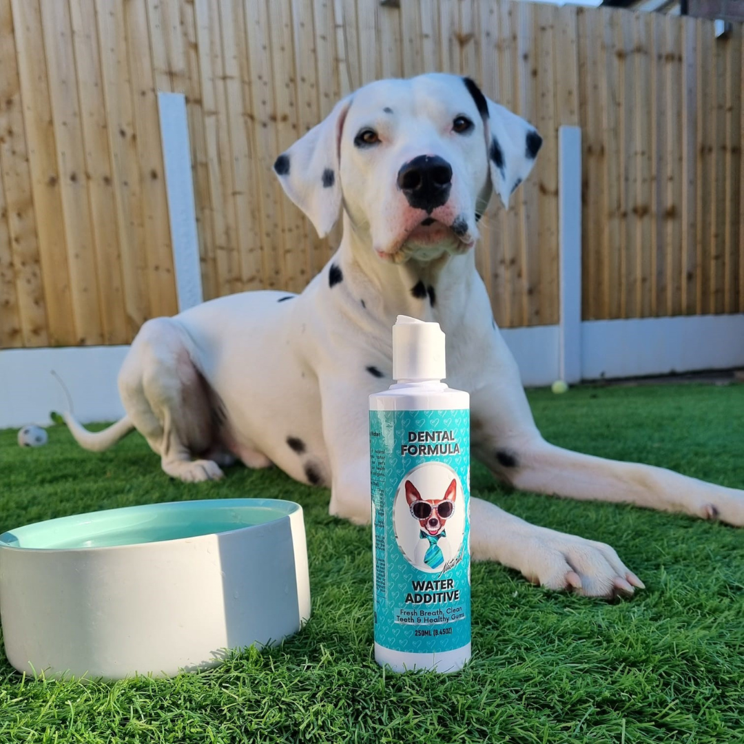 Nutri Paw Facebook ad