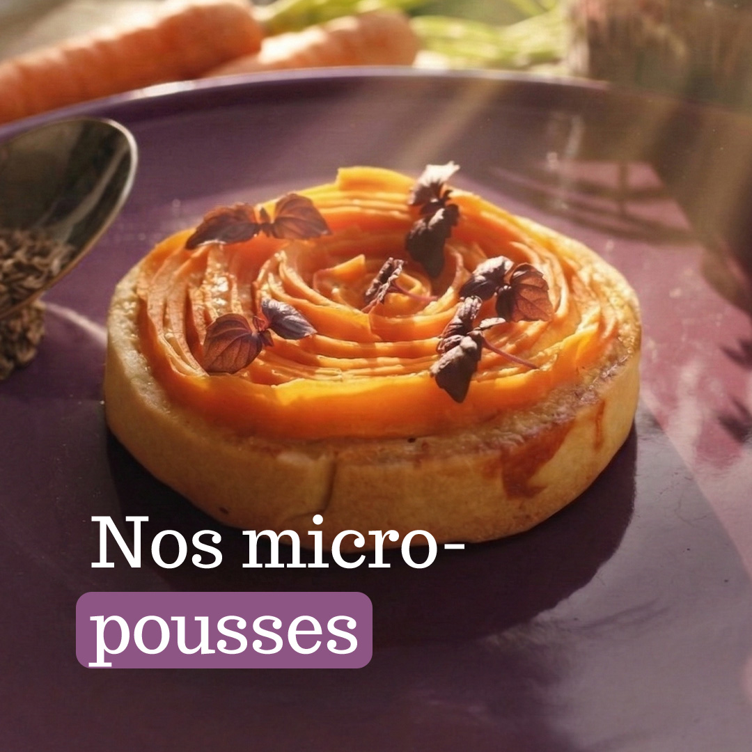 Il était une graine Facebook ad: L'art végétal s'invite dans votre cuisine!