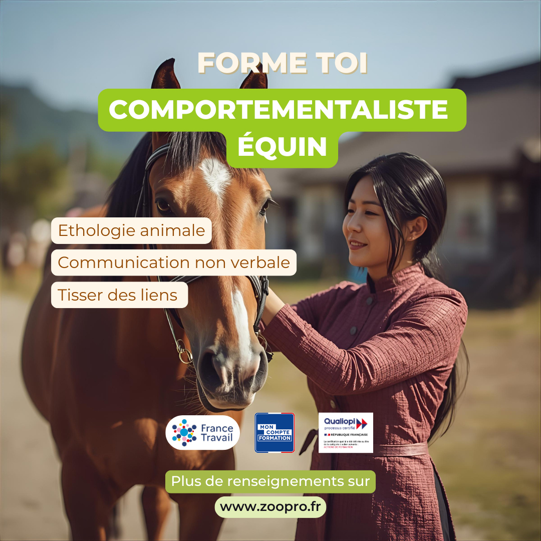 Zoopro - formations sur les animaux Facebook ad