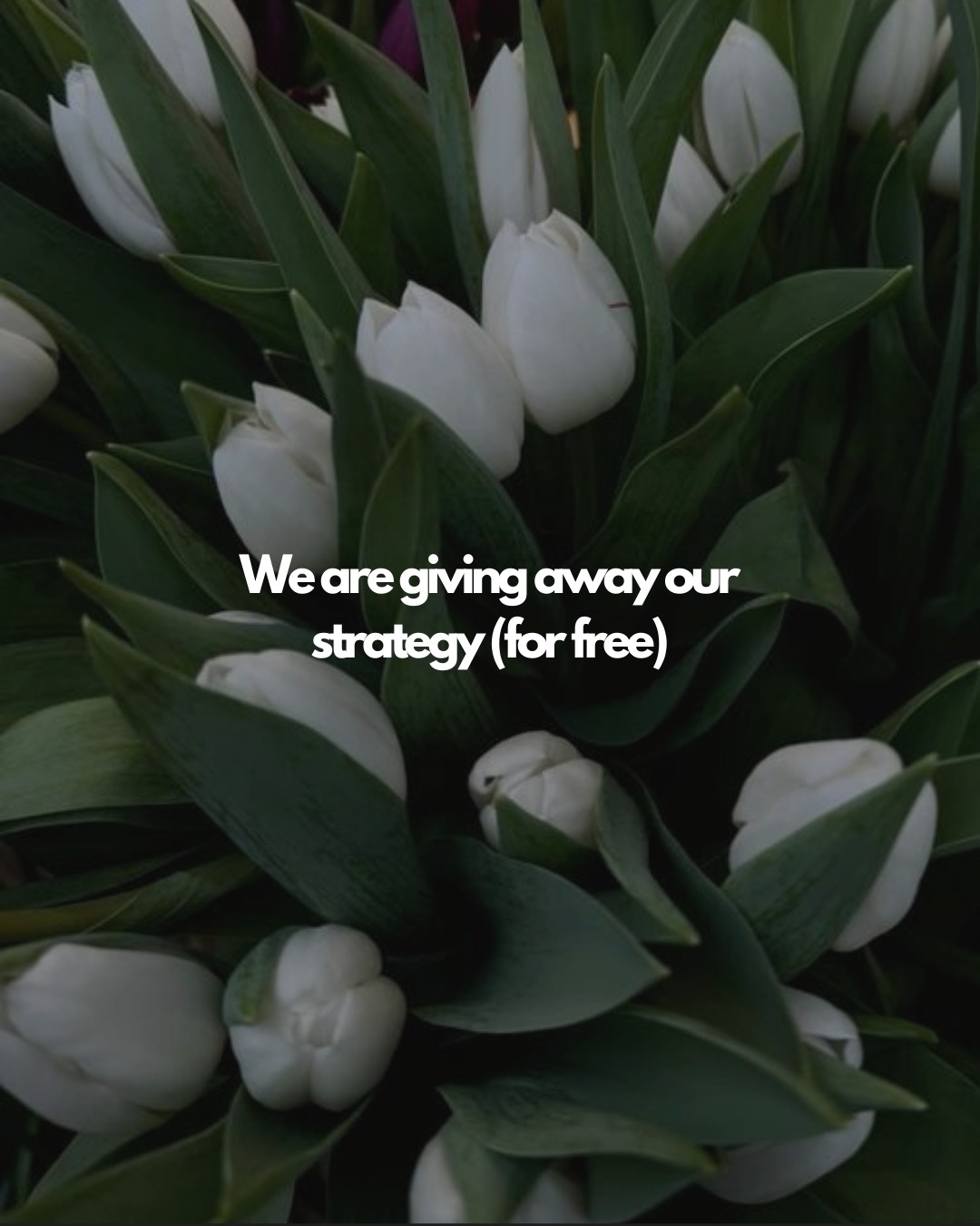 Eviral Marketing Agency Facebook ad