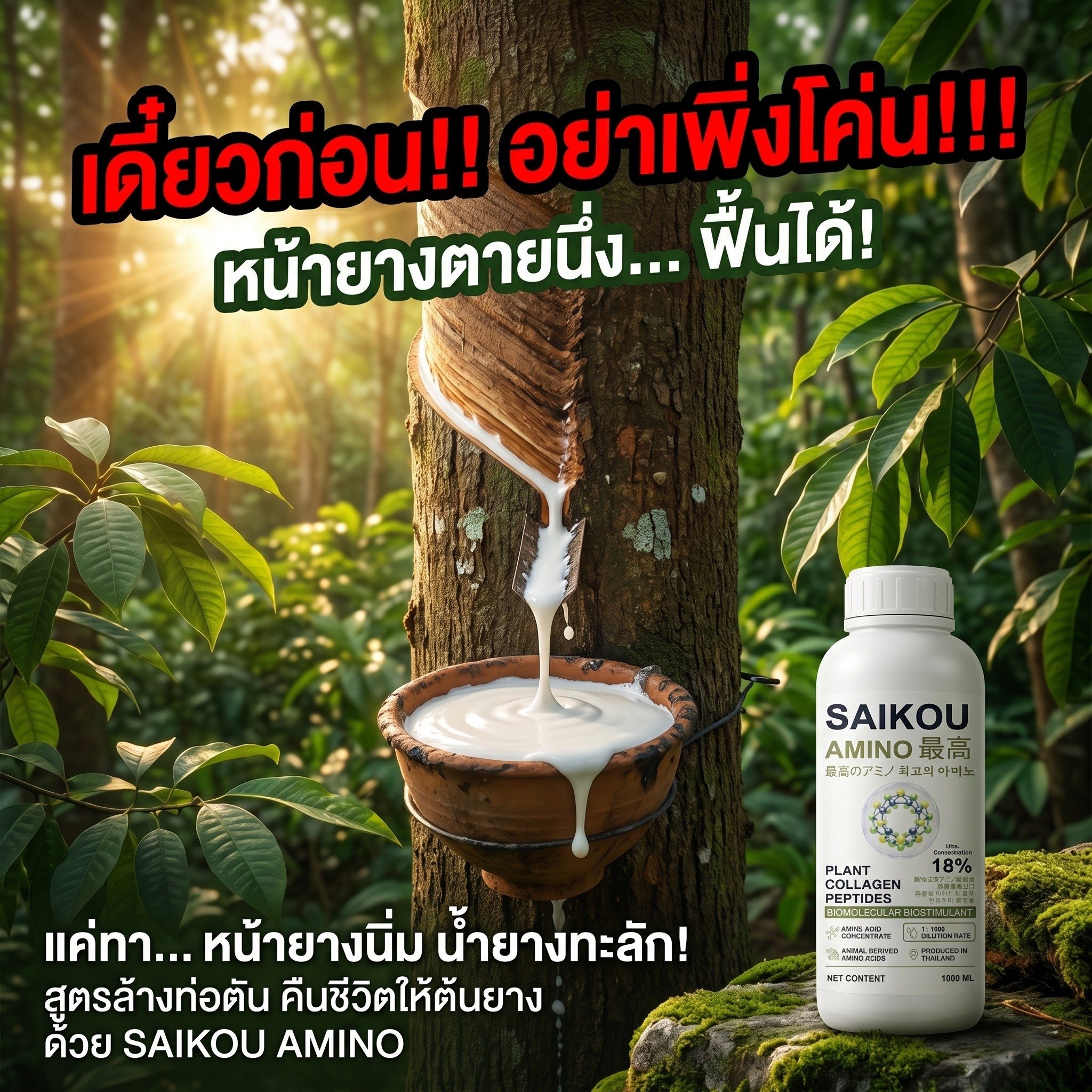 Saikou AMINO Thailand Facebook ad: หน้ายางตายนึ่ง กรีดฝืด น้ำยางหด!