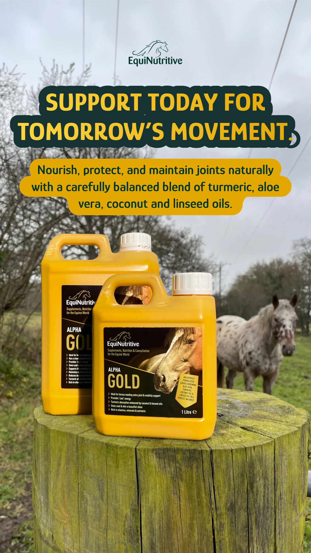 EquiNutritive Facebook ad