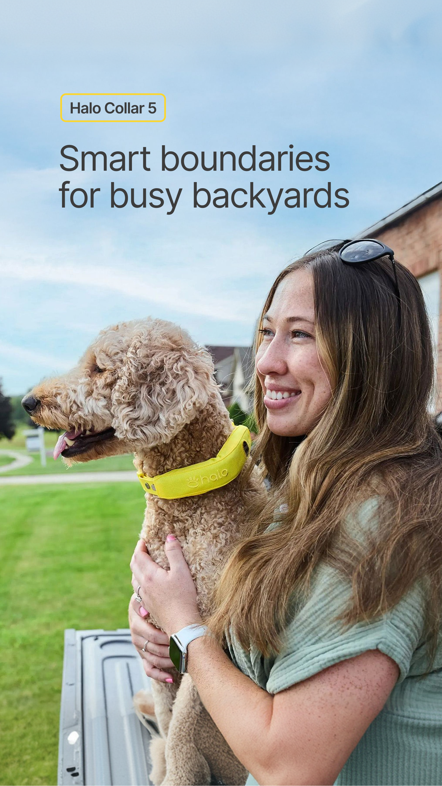 Halo Collar Facebook ad