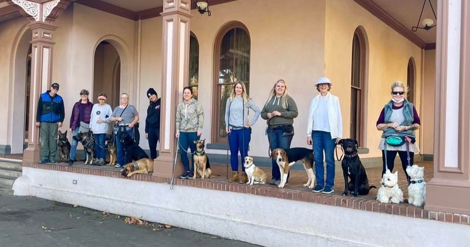 Ridgeside K9 NorCal Facebook ad