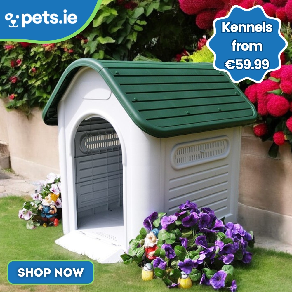 Pets.ie Facebook ad