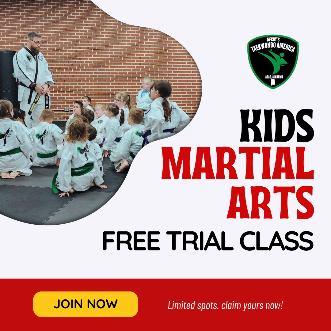 McCoy's Taekwondo America and Krav Maga Facebook ad: The FREE Class That Could Change Everything