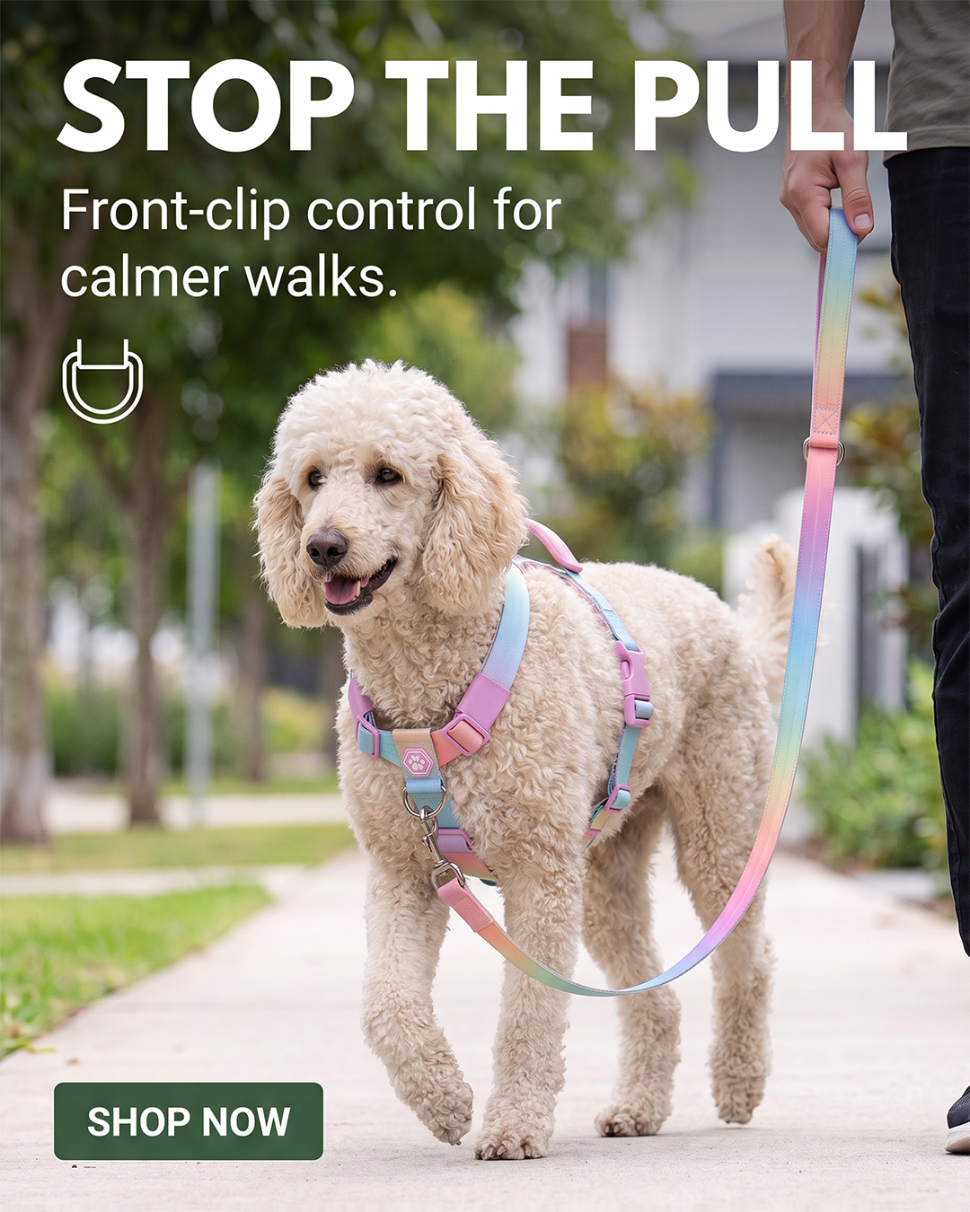 Spark Paws Facebook ad