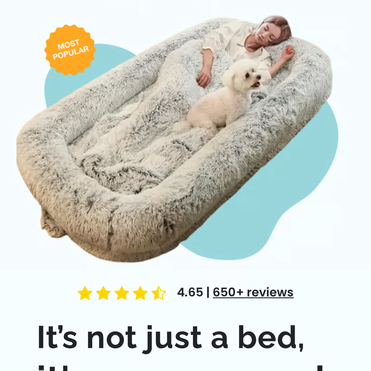 Magnolia Pet Facebook ad: Not Just a Bed, it’s a Vibe