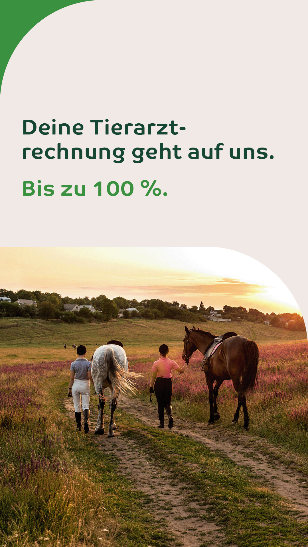 Uelzener Versicherungen Facebook ad