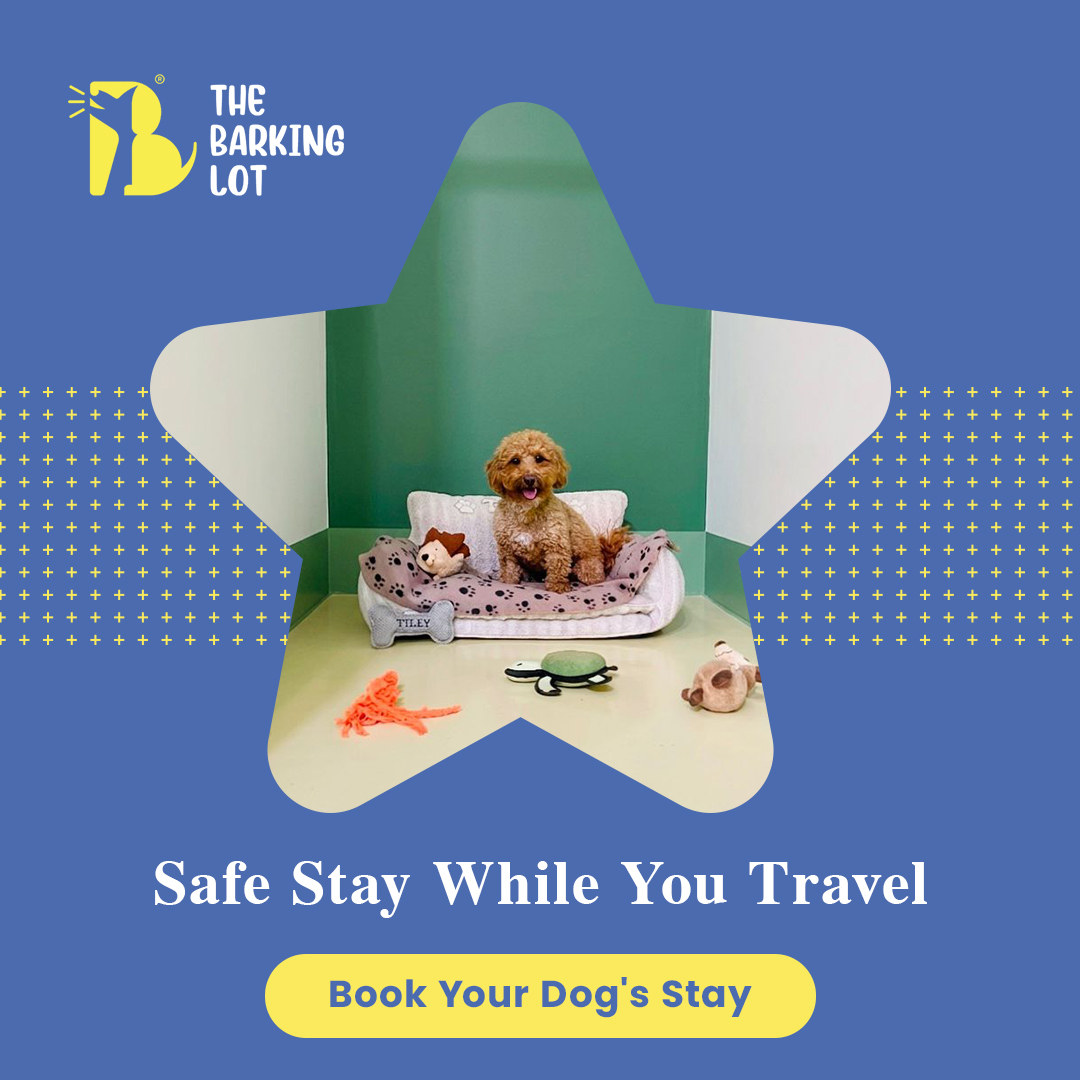 The Barking Lot Dubai Facebook ad from May 4, 2026