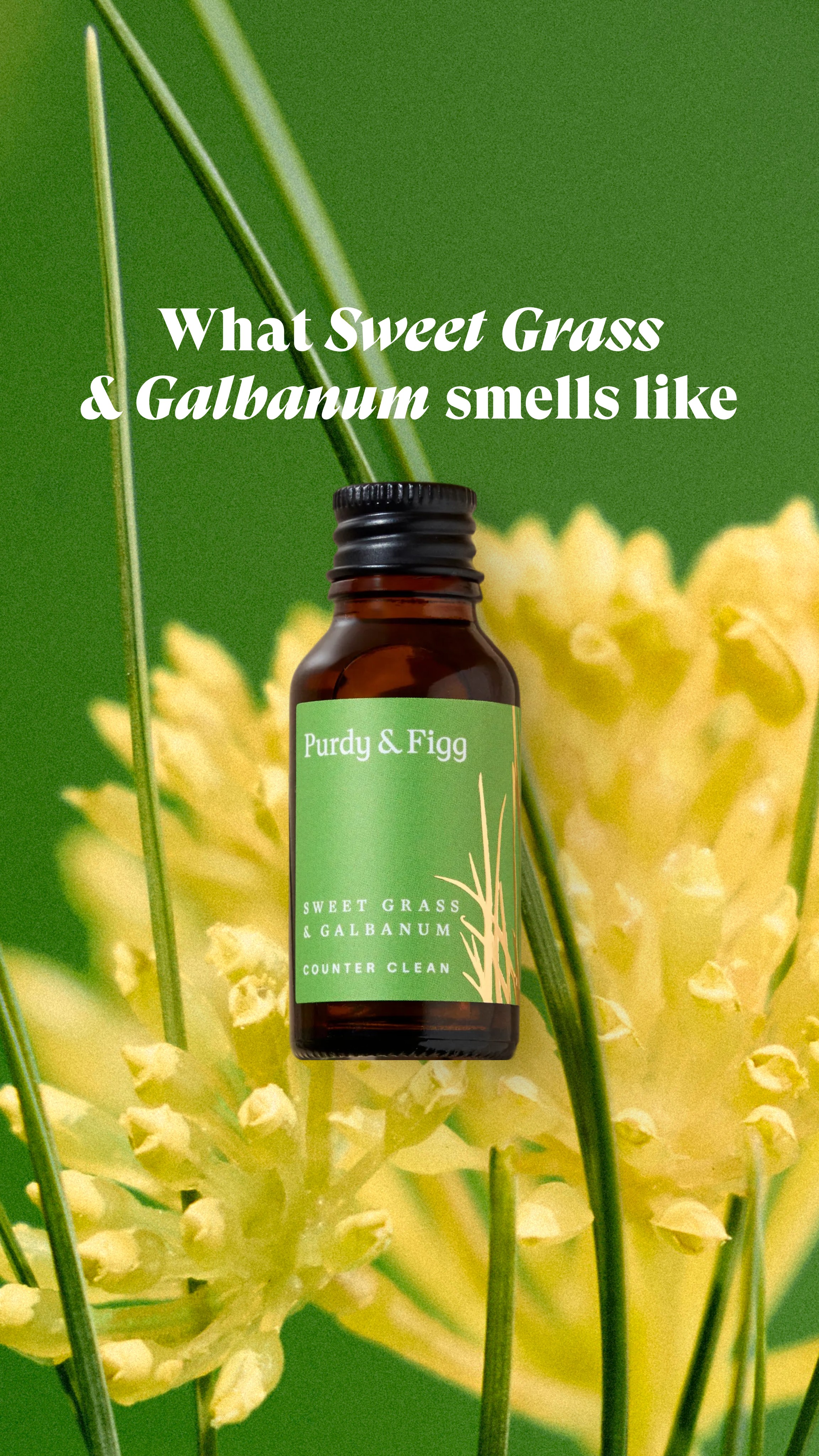 Purdy & Figg Facebook ad