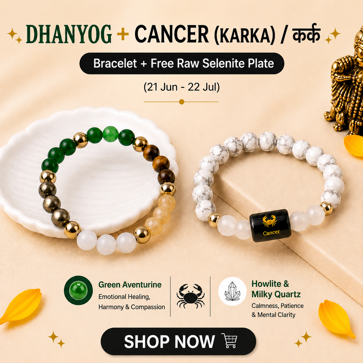 Vedic Astro Facebook ad