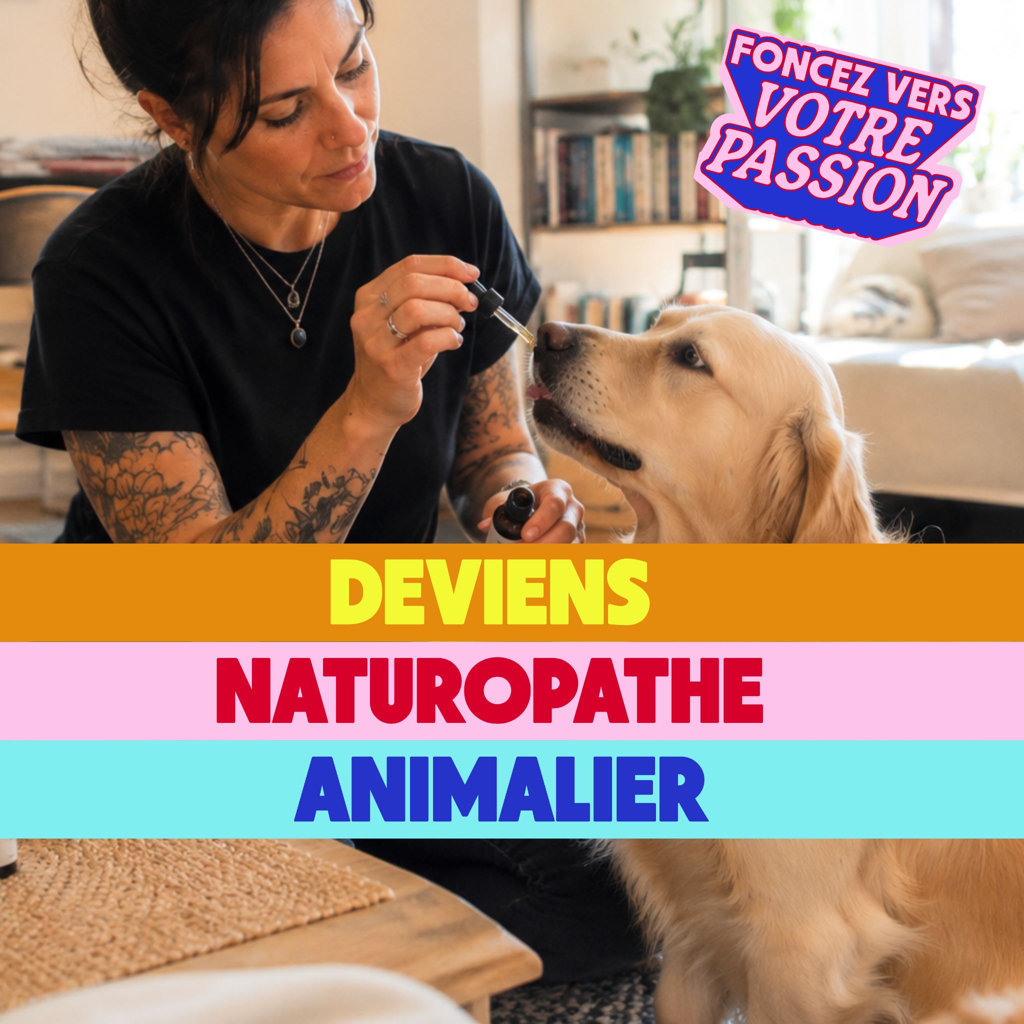 Snob Dog Academy Facebook ad